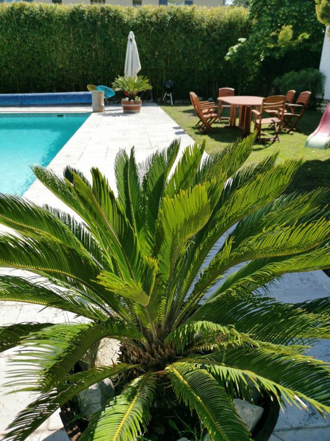 Appartement La Parenthese